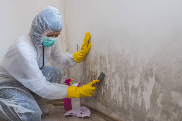 Best Air Quality Testing for Mold Spores  in Coram, NY