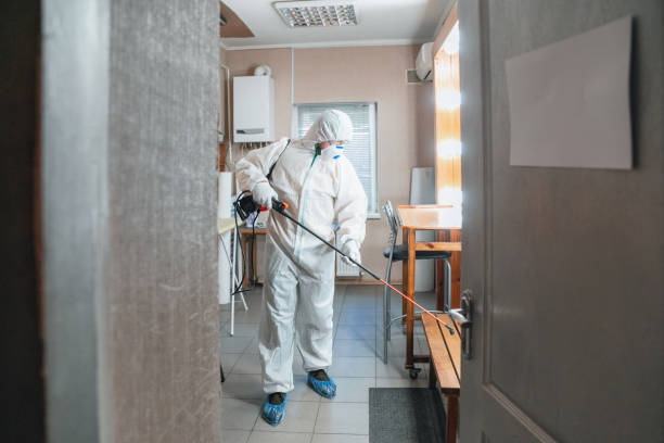 Best Mold Damage Restoration  in Coram, NY