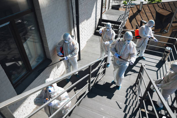 Best Mold Remediation for Healthcare Facilities  in Coram, NY