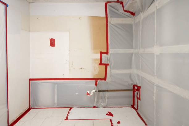 Best Mold Odor Removal Services  in Coram, NY