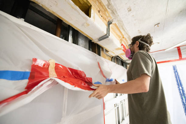 Best Mold Documentation for Insurance Claims  in Coram, NY
