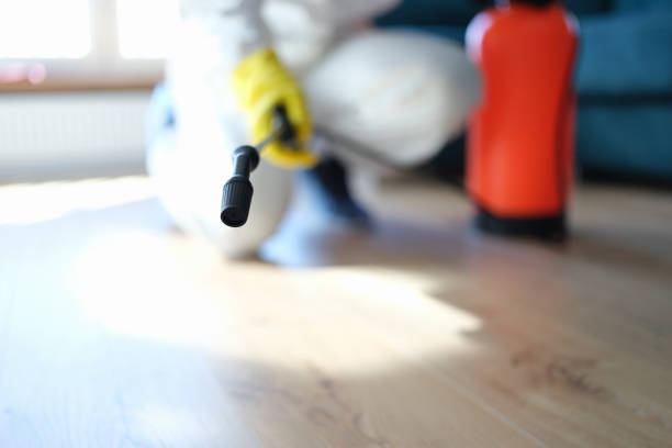 Best Indoor Air Quality Assessment  in Coram, NY