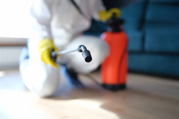 Mold Removal for HVAC Installations in Coram, NY
