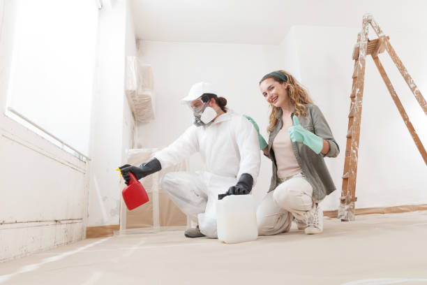 Best Basement Mold Removal  in Coram, NY